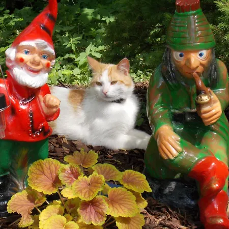 Tara 3* Teplice nad Metují