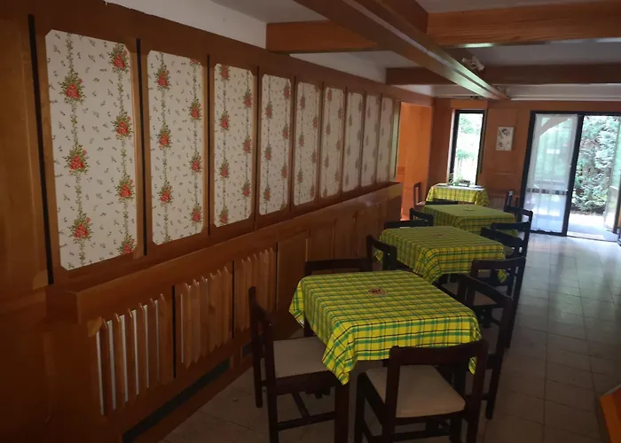 Pensionat Tara 3*