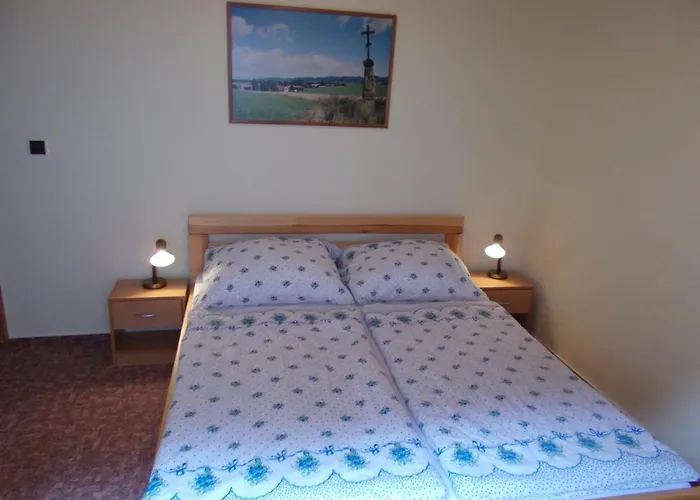 Pensionat Tara 3*